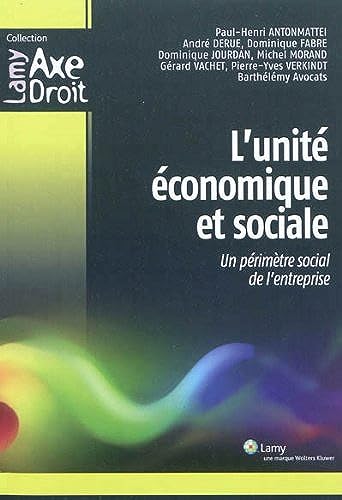 L'unité économique et sociale : Un périmètre social de l'entreprise